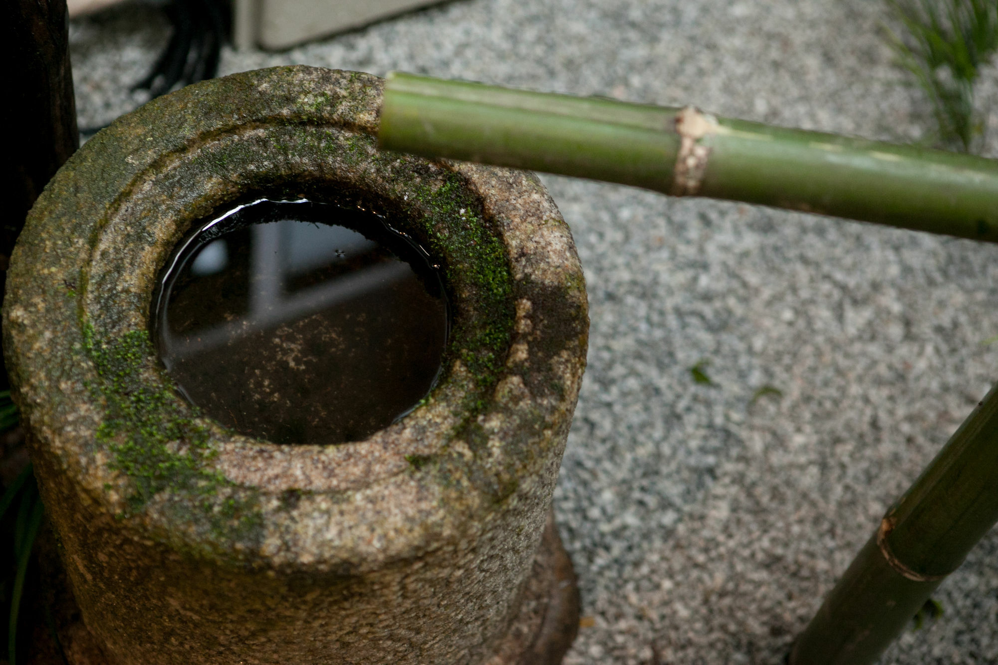 Rinn Kujokamogawa Kyoto Exterior foto